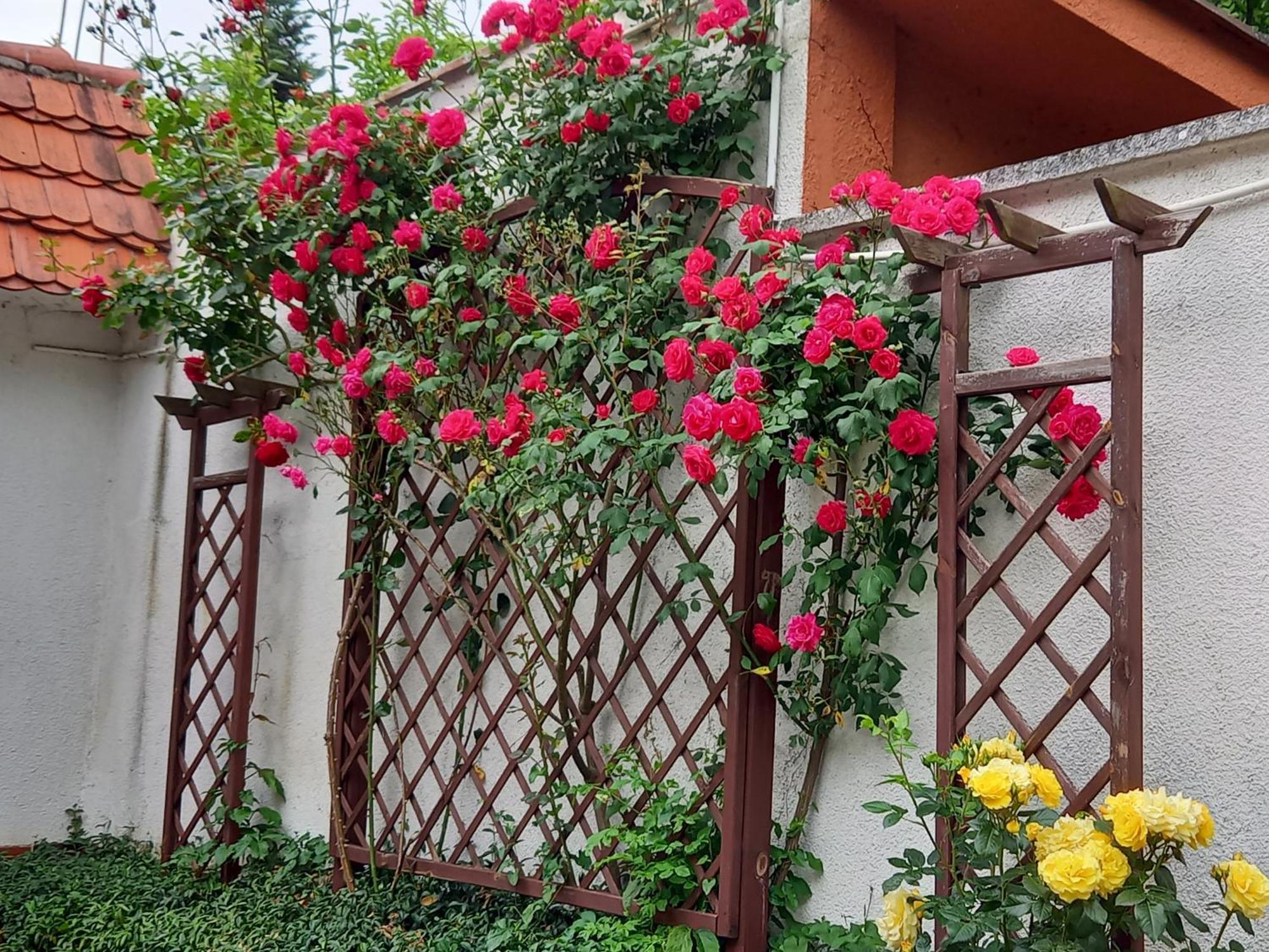 Apartament 2-Pokojowy 55 M2, Kolo Zoo, Hali Stulecia Wrocław Buitenkant foto